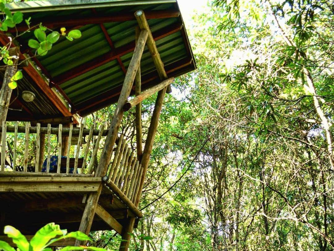 Waterbessiebos cottage Tzaneen Exteriör bild